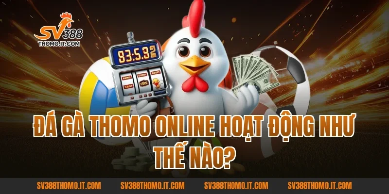 Đá gà Thomo online hoạt động như thế nào?