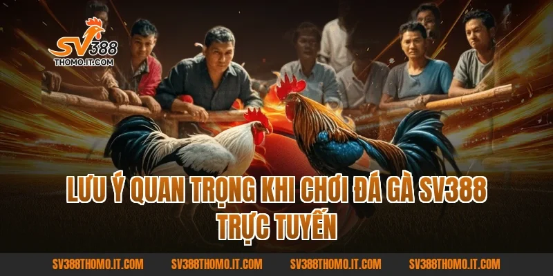 Lưu ý quan trọng khi chơi Đá gà SV388 trực tuyến