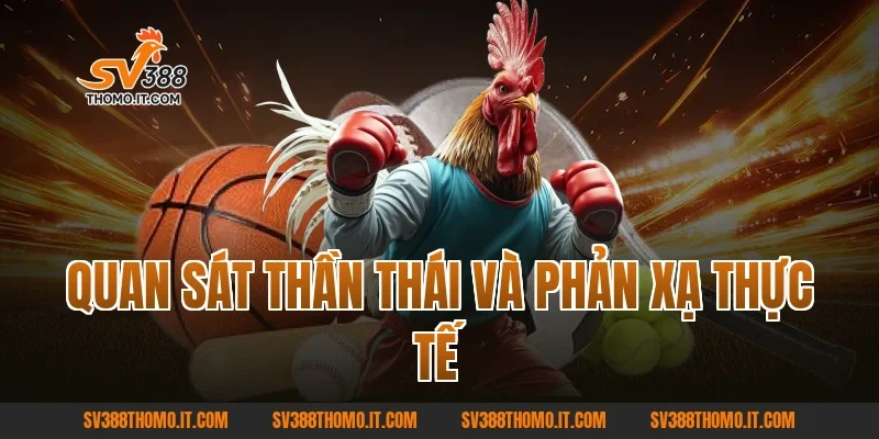 Quan sát thần thái và phản xạ thực tế